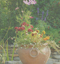 短信在线云呼轰炸